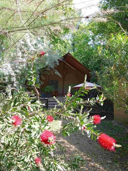 lodge dans la nature